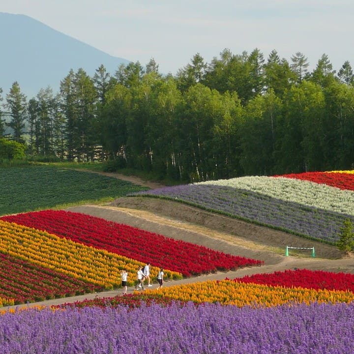 Hokkaido