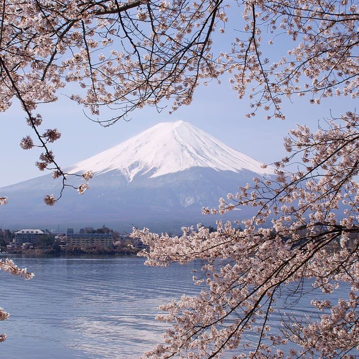 Yamanashi