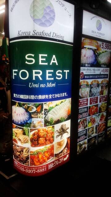 テジョンデ - テジョンデプロデュース『SEA　FOREST』