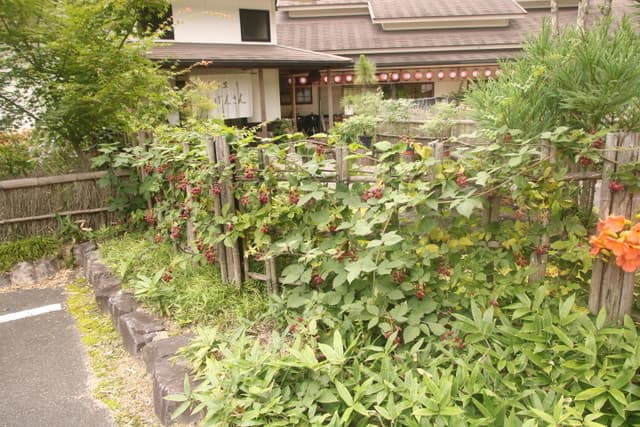 ごきげんさん -