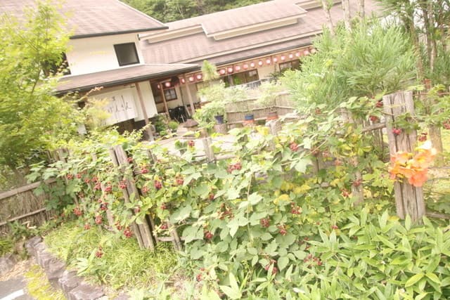 ごきげんさん -
