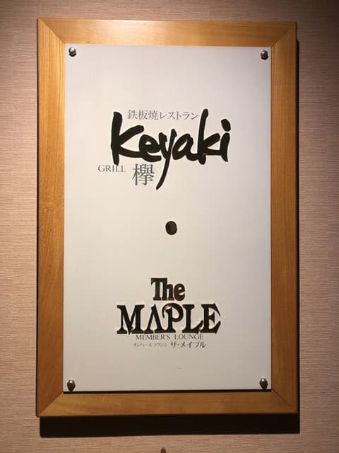 ケヤキ -