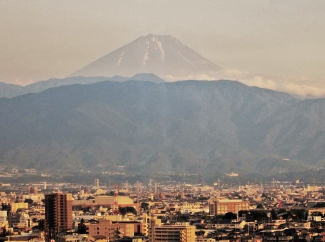 ケヤキ - 黄昏行く富士山