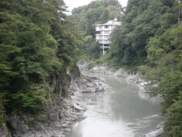 絶景の宿　龍峡亭 - 遊歩道の吊り橋から宿を望む