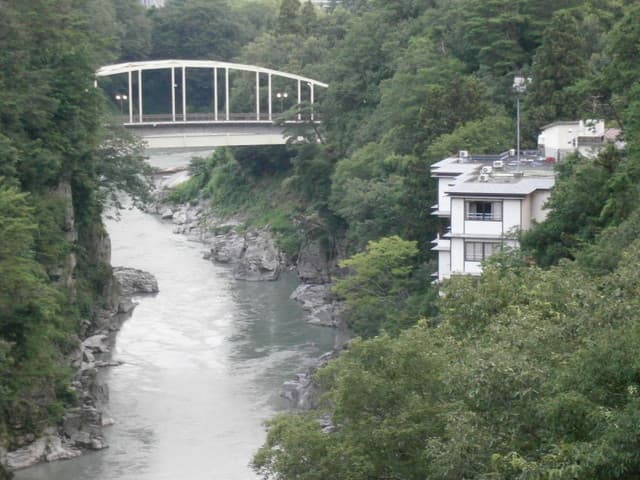 絶景の宿　龍峡亭 - 遊歩道の吊り橋より　天龍峡と宿を望む
