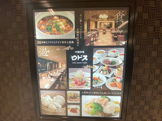 中国料理ロドス -