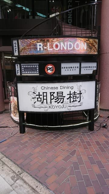 湖陽樹 -