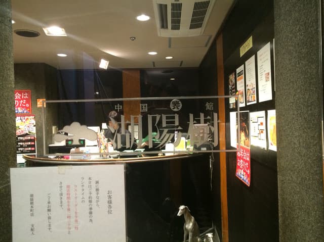 湖陽樹 -