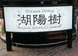湖陽樹 -