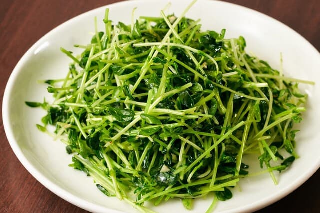 刀削麺・火鍋・西安料理 XI`AN -