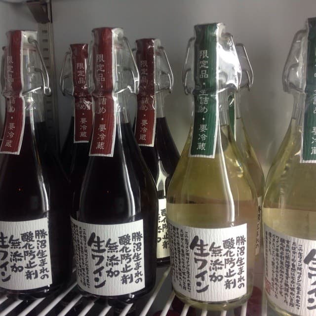 小料理 哲  - 生わいん