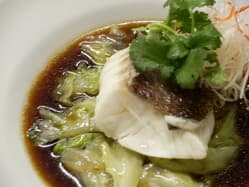 湖陽樹 -