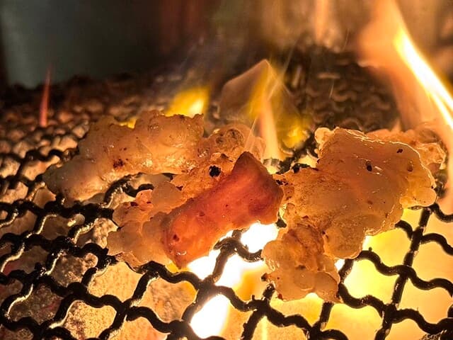 炭火焼肉 いち - 上ホルモンをヤキヤキ♪