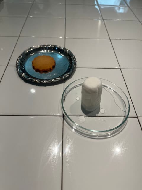 Midnight Cookie Club -