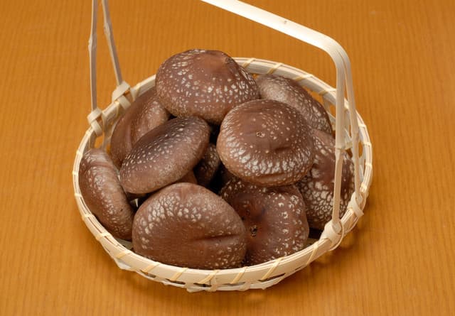 とんかつ武蔵 - 椎茸は島根県柿木村より直送して頂いております。