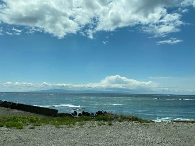 すし蔵 - 海向こうは大間。この戸井との間で鮪がひしめく