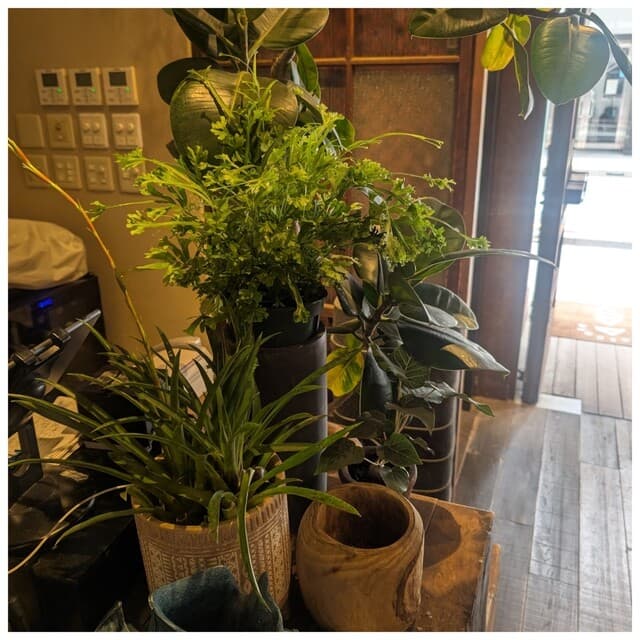 銀座2丁目ミタスカフェ -