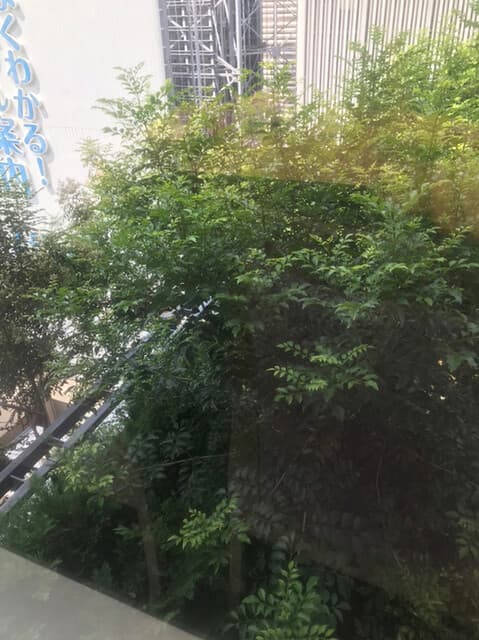 中国料理 桃谷樓　 - 席からの風景。