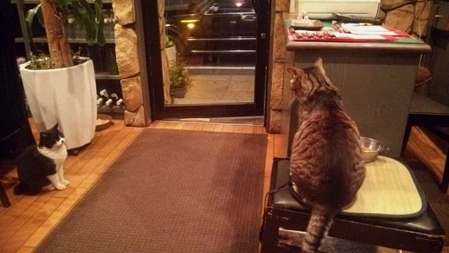 やきにくれすとらん ショウナン -