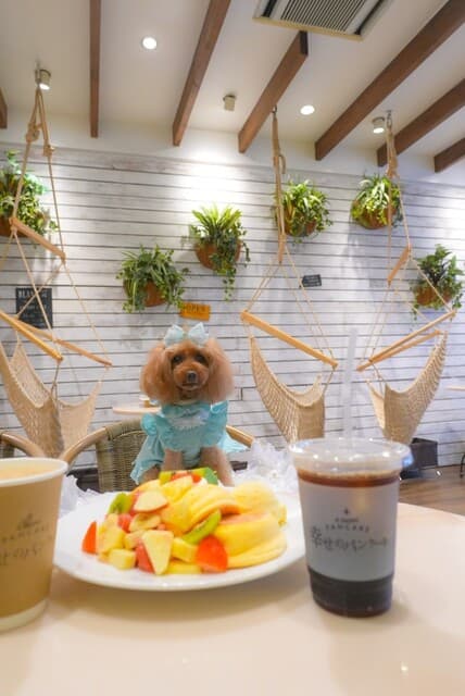 幸せのパンケーキ -