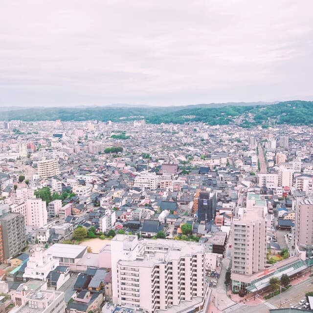 桃李 -