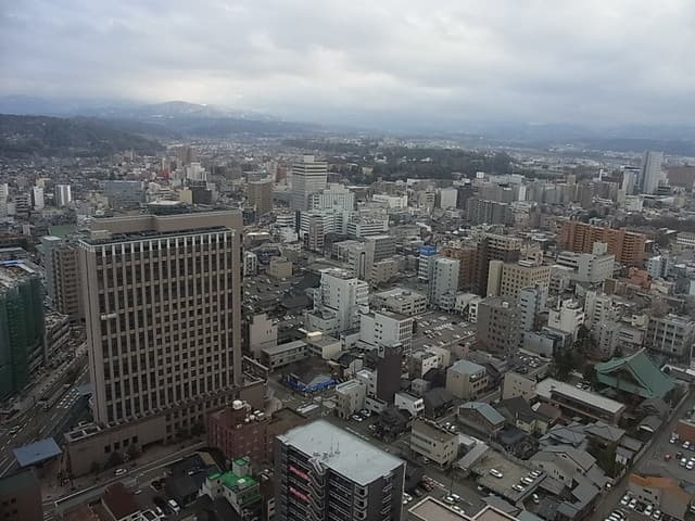 桃李 -