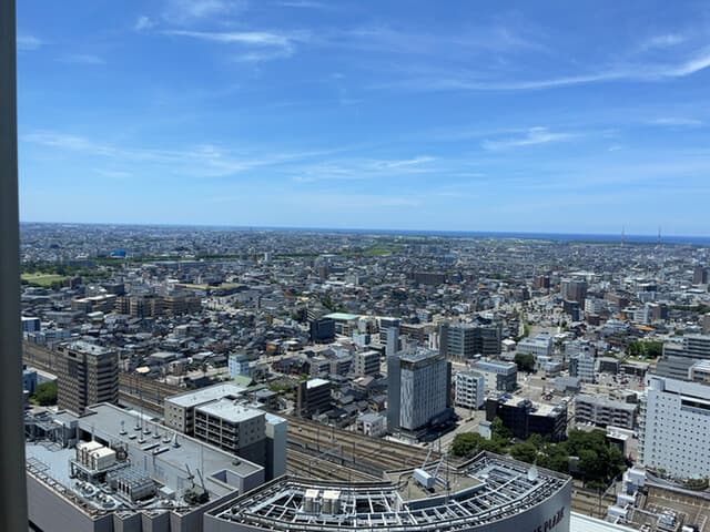 桃李 -