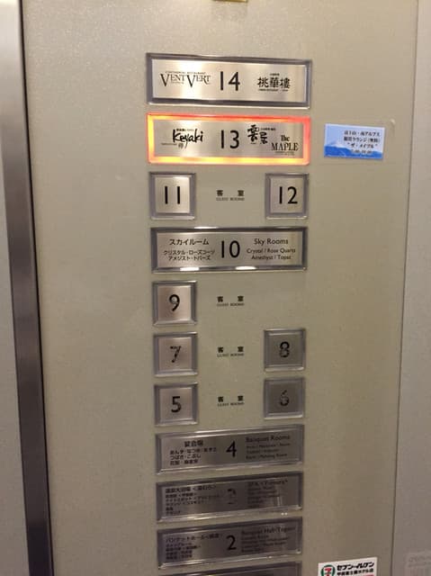ケヤキ -