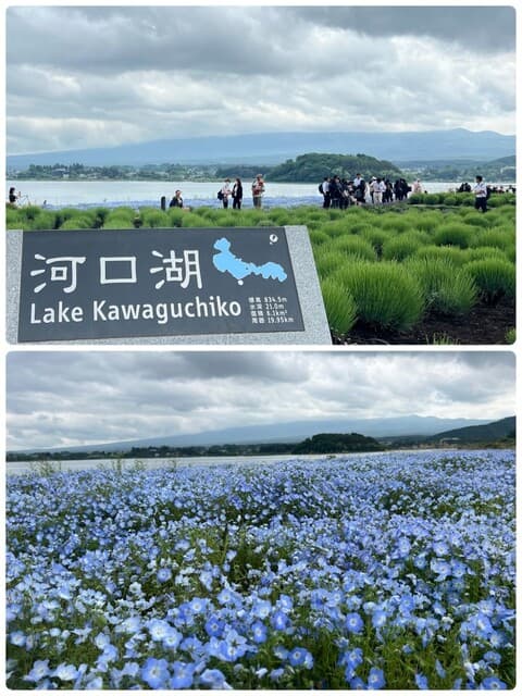 小料理 哲  - 富士大石ハナテラスからの富士山は・・・
いかに…？！(((o(*ﾟ▽ﾟ*)o)))


裾〜ッ！！！｡ﾟ(ﾟ´ω`ﾟ)ﾟ｡