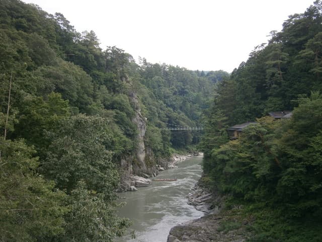 絶景の宿　龍峡亭 - 部屋より天竜峡と吊り橋を望む