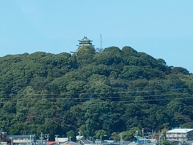鶏そば専門店 らーめんえびす -