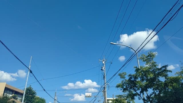 ラ ポルケッテリア -