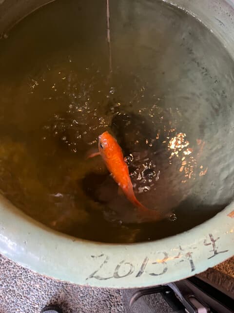 すし善 -