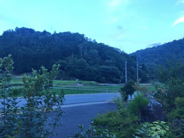 Kissa Yamane