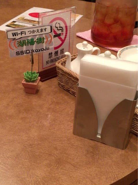 湖陽樹 - WIFI あり