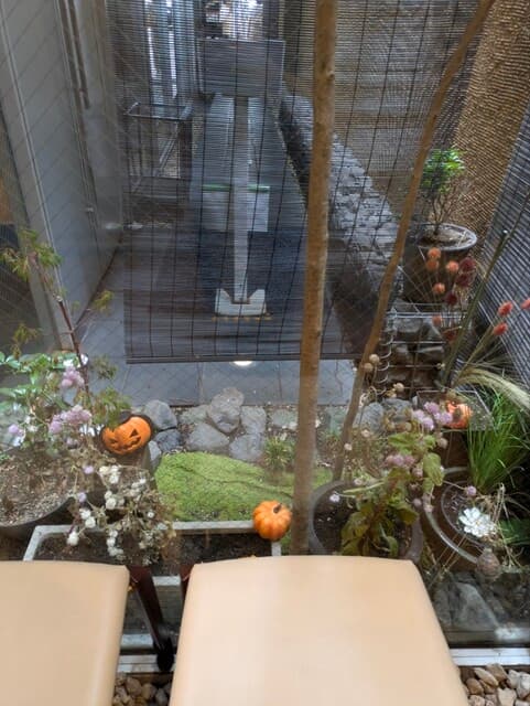 和ノ食 奏 -