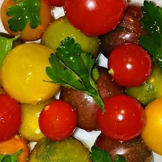 在主廚指定的套餐中，盡情享受當季美食♪