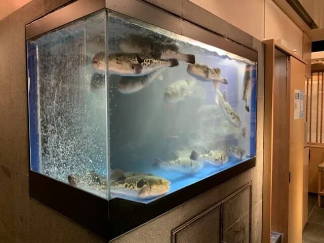 가끔은 고급스러운 식사를 해도 괜찮죠? 마츠토에서 맛볼 수 있는 투라후구… 투라후구정 마츠토점