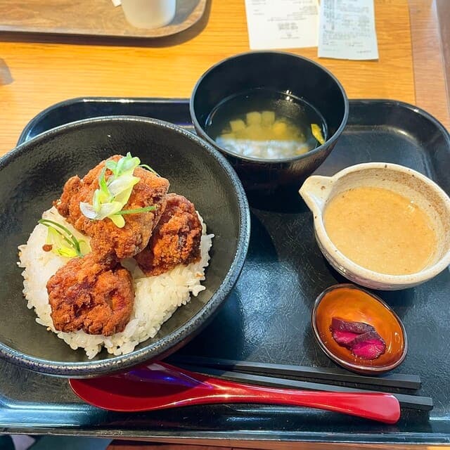 프레시먼 코트에서 선택한 이곳입니다.