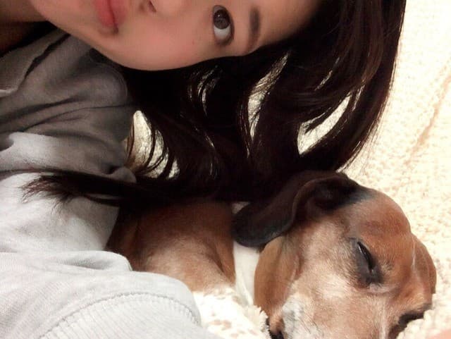 じとっこ組合 -